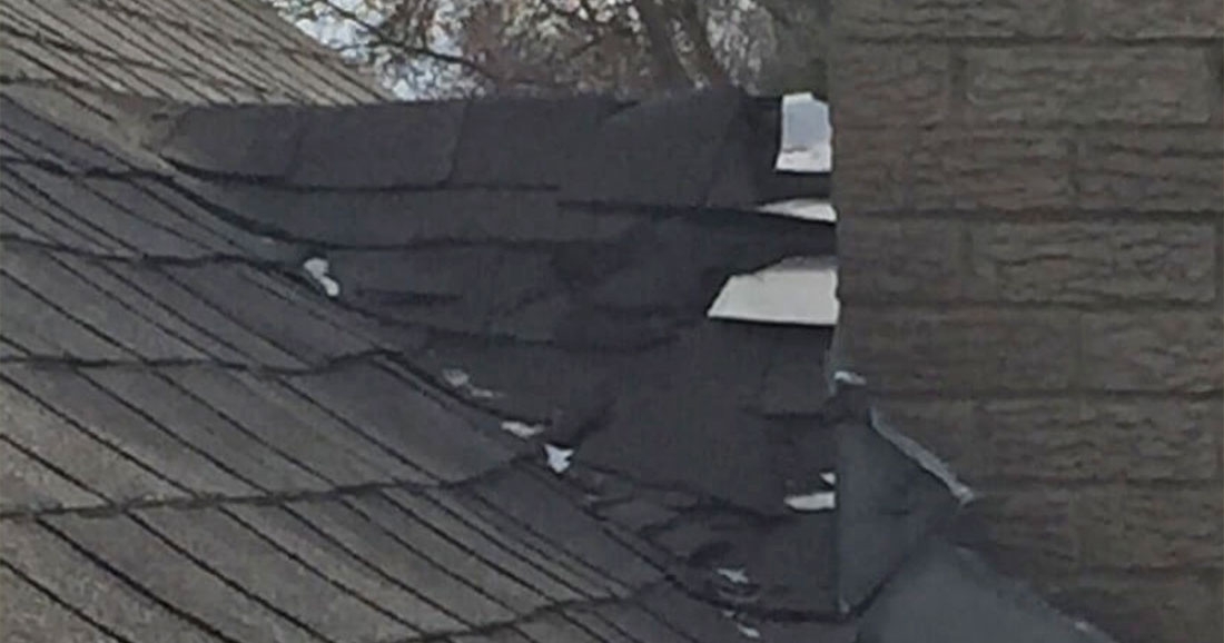 Has a 4-legged Critter Damaged Your Roof?