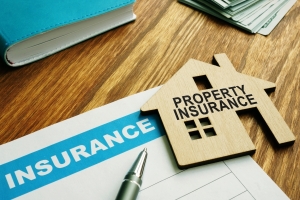 Storm Damage and Insurance Claims 