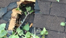 roof of a house with weather damage