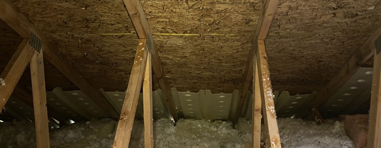 attic mold