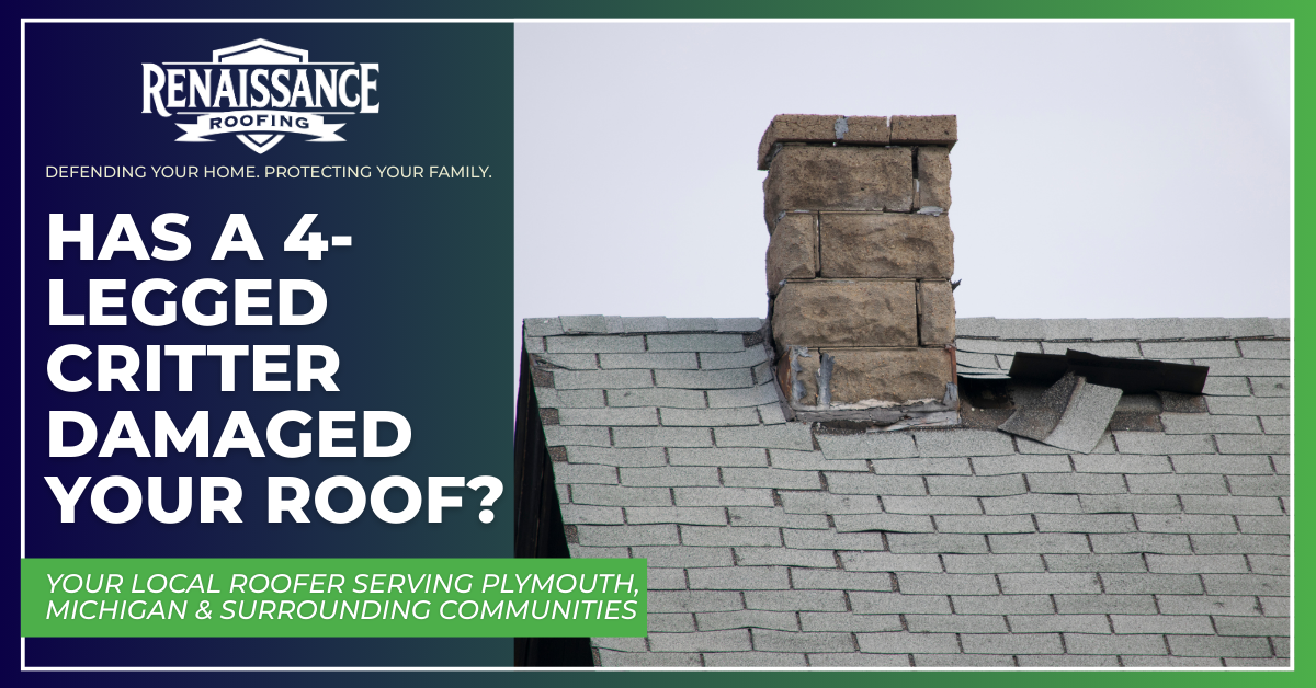 Has a 4-legged Critter Damaged Your Roof?